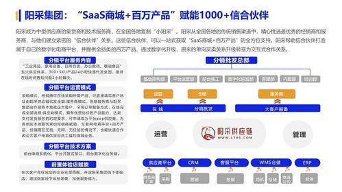 2024数字化采购发展报告 点赞阳采集团 三轮叠加优选 实现国央企采购优供优服优配